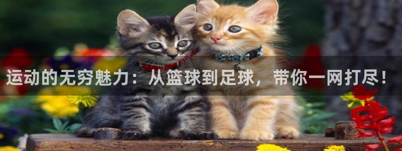 米兰体育官网下载招商电话地址是多少：运动的无穷魅力：