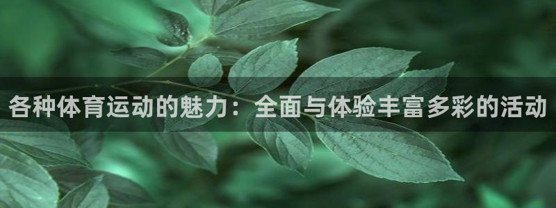 米兰体育官网下载软件：各种体育运动的魅力：全面与体验