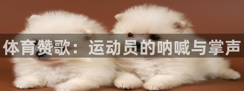 米兰体育官方正版app集团官网首页网址：体育赞歌：运