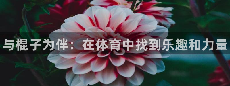 米兰体育官网下载：与棍子为伴：在体育中找到乐趣和力量