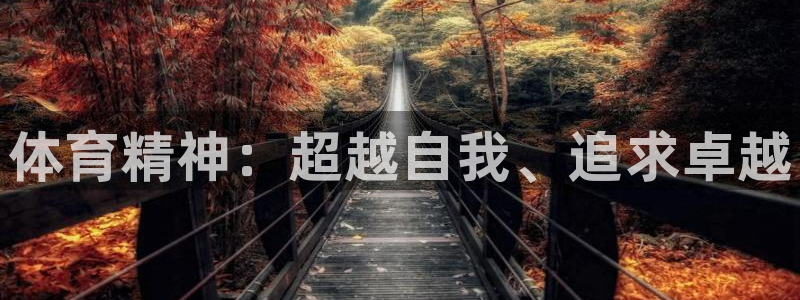 米兰体育官网下载招商电话地址是多少：体育精神：超越自