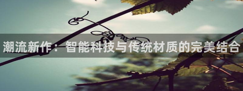 米兰体育官网下载平台注册要钱吗安全吗：潮流新作：智能