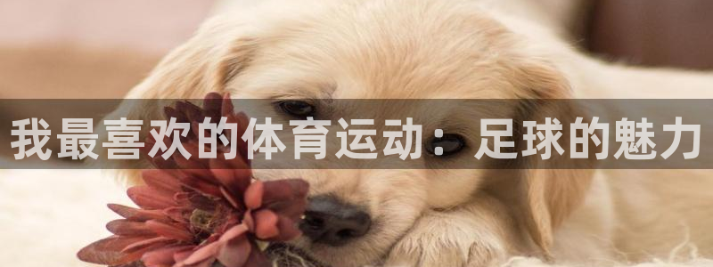 米兰体育官网下载招商电话是多少：我最喜欢的体育运动：