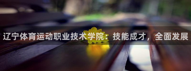 米兰体育官方正版app官方：辽宁体育运动职业技术学院