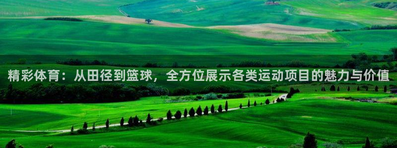 米兰体育官网下载平台注册：精彩体育：从田径到篮球，全