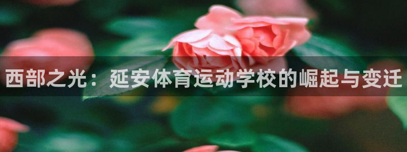 米兰体育官网下载招商电话：西部之光：延安体育运动学校
