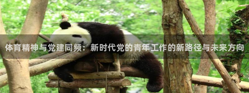 米兰体育官网下载平台是正规平台吗：体育精神与党建同频