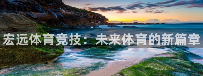 米兰体育官方正版app开户：宏远体育竞技：未来体育的