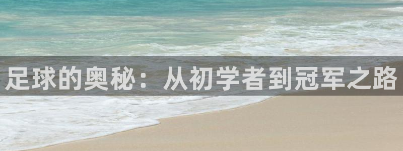 米兰体育官方正版app娱乐：足球的奥秘：从初学者到冠
