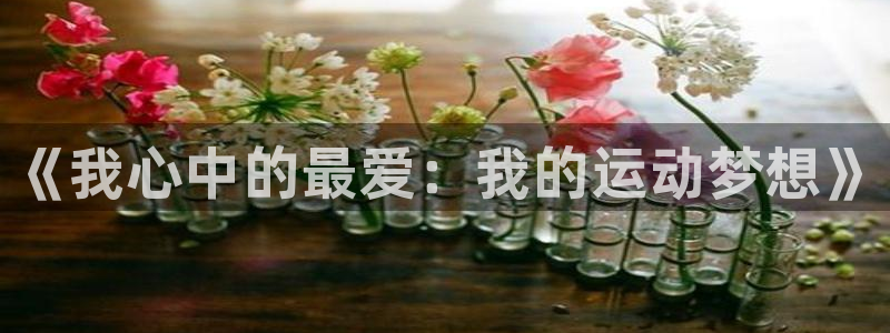 米兰体育官网下载平台注册要钱吗安全吗：《我心中的最爱