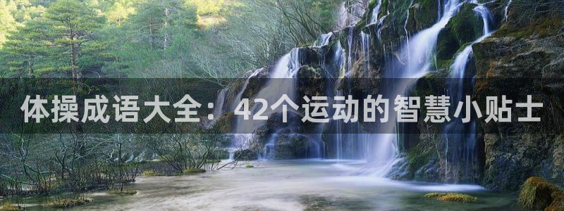 米兰体育官网下载招商电话号码是多少啊：体操成语大全：