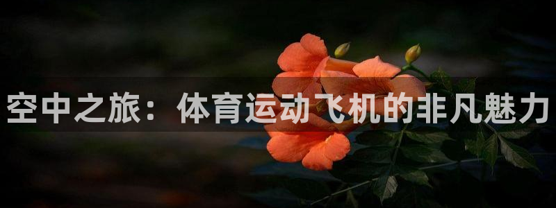 米兰体育官方正版app集团logo：空中之旅：体育运动飞机的