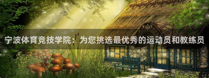 米兰体育官方正版app新能源：宁波体育竞技学院：为您