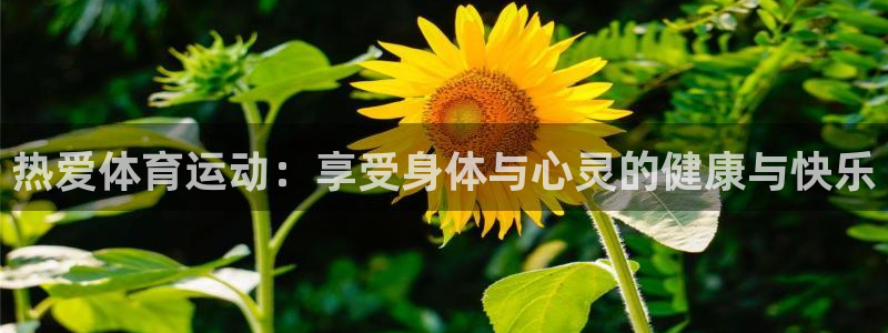 米兰体育官网下载招商电话地址：热爱体育运动：享受身体