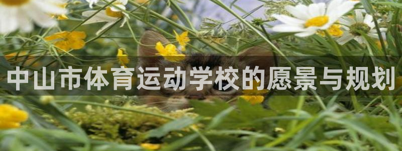 米兰体育官网下载招商电话号码是多少号