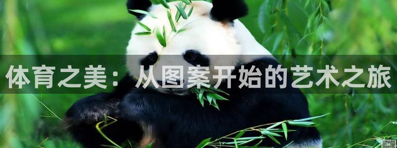 米兰体育官方正版app新能源：体育之美：从图案开始的