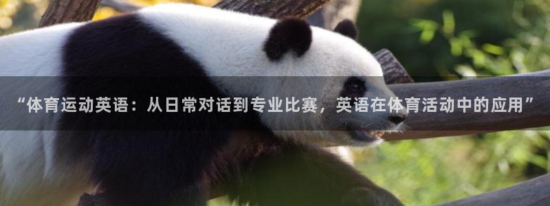 米兰体育官网下载招商电话地址是多少