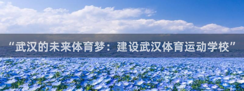 米兰体育官网下载平台是正规平台吗知乎：“武汉的未来体