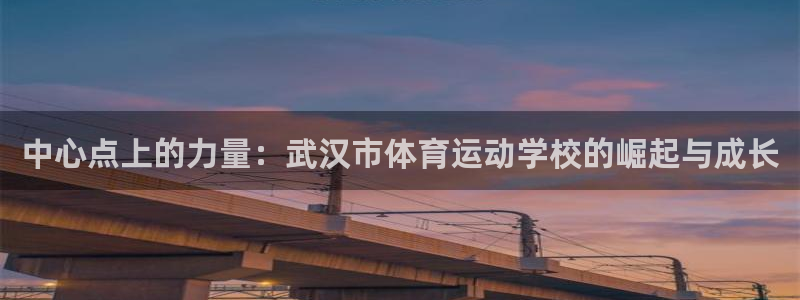 米兰体育官方正版app集团官网首页：中心点上的力量：