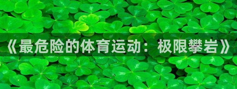 米兰体育官方正版app娱乐代理怎么样：《最危险的体育运动：极