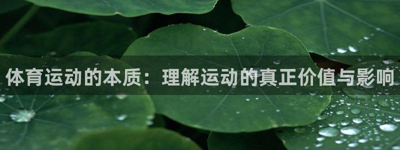 米兰体育官网下载平台注册：体育运动的本质：理解运动的真正价值