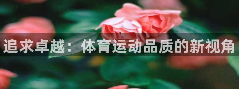 米兰体育官方集团官网：追求卓越：体育运动品质的新视角