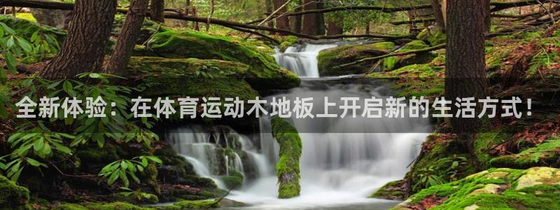 海南米兰体育官网下载发展怎么样：全新体验：在体育运动木地板上