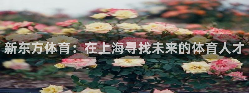 米兰体育官网下载平台注册要钱吗