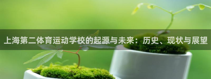 米兰体育官网下载招商电话地址：上海第二体育运动学校的起源与未
