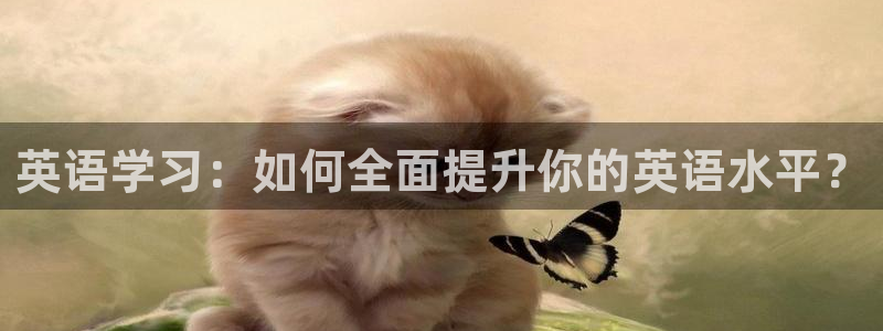 米兰体育官方正版app集团官网网址