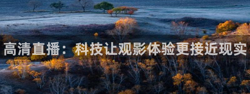 松鼠直播体育免费