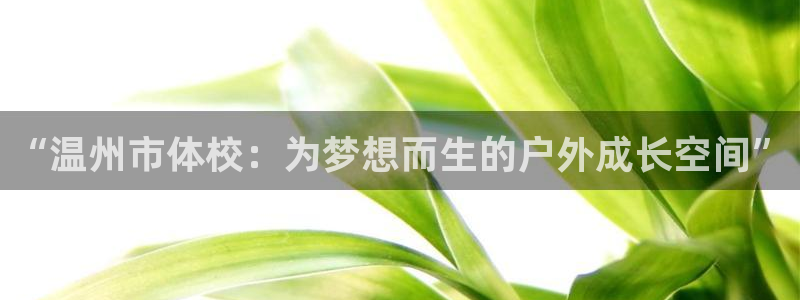 米兰体育网页入口