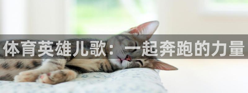 米兰体育人口数据：体育英雄儿歌：一起