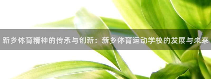 米兰体育发布网址是多少：新乡体育精神