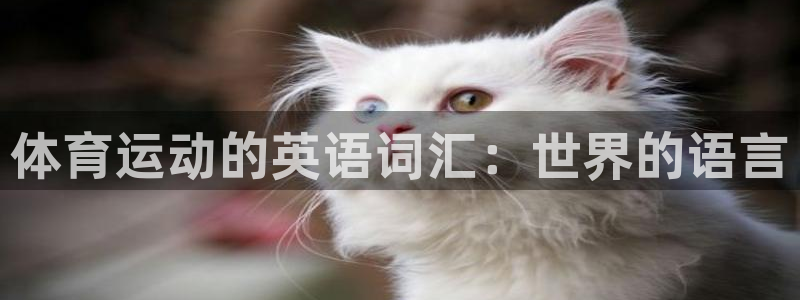 米兰体育官网在线下载手机版：体育运动