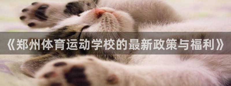 米兰体育官网在线下载安装：《郑州体育