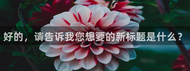 米兰体育网址：好的，请告诉我您想要的新标题是什么？