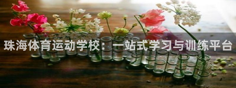  米兰体育报评选足坛历史最佳：珠海体育运动学校：一站式学习与训