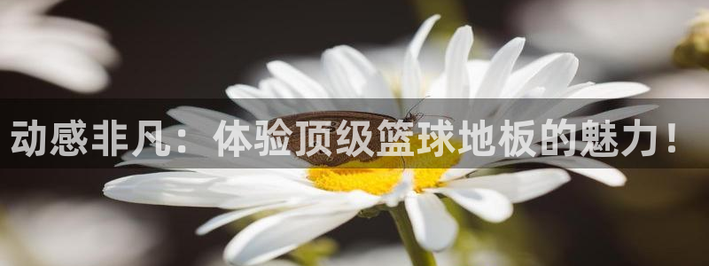米兰体育黑平台是正规的吗安全吗：动感非凡：体验顶级篮球地板的