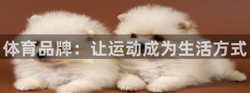 米兰体育买球安全吗可靠吗知乎